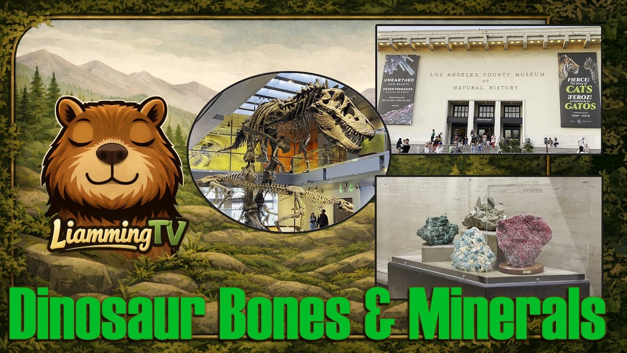 Dinosaur & Minerals Hall Walkthrough | Natural History Museum of Los Angeles