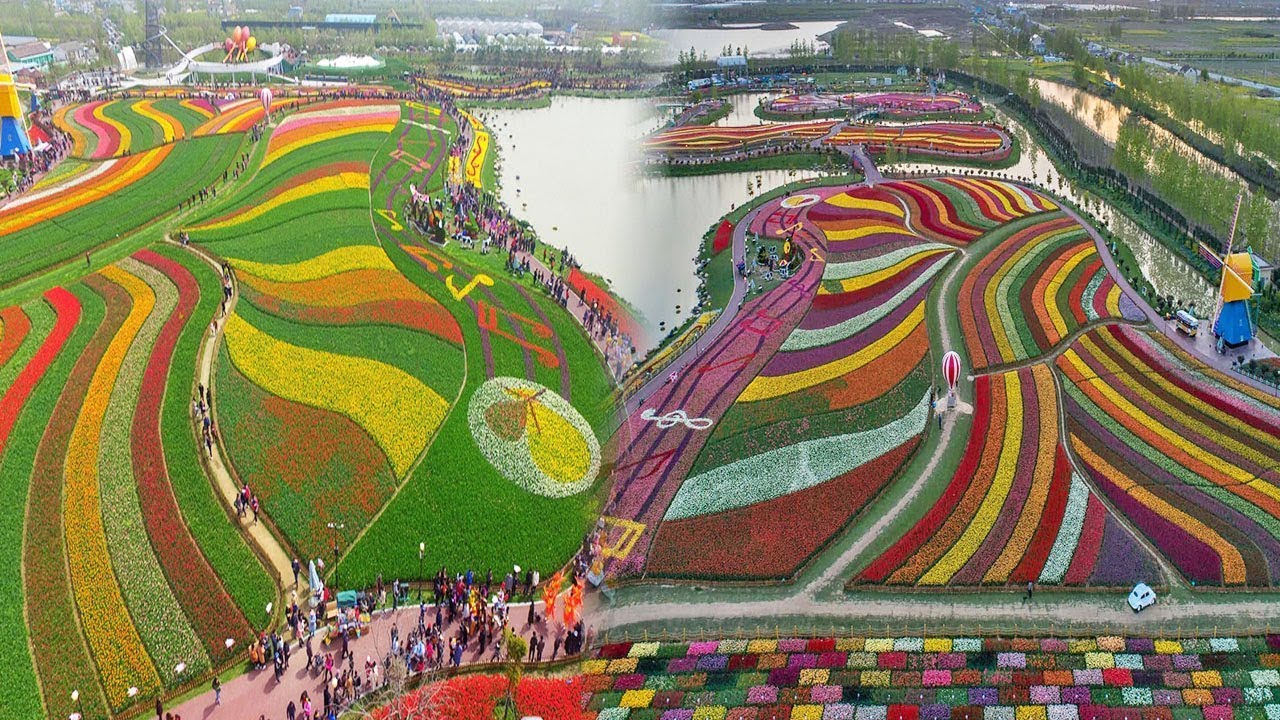 China's Most Beautiful Massive Flower Natures You Can't Imagine