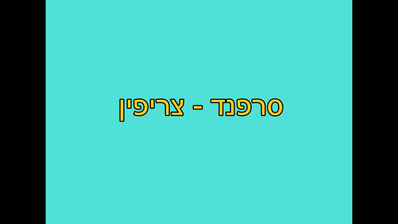 צריפין סרפנד - היסטוריה והווה