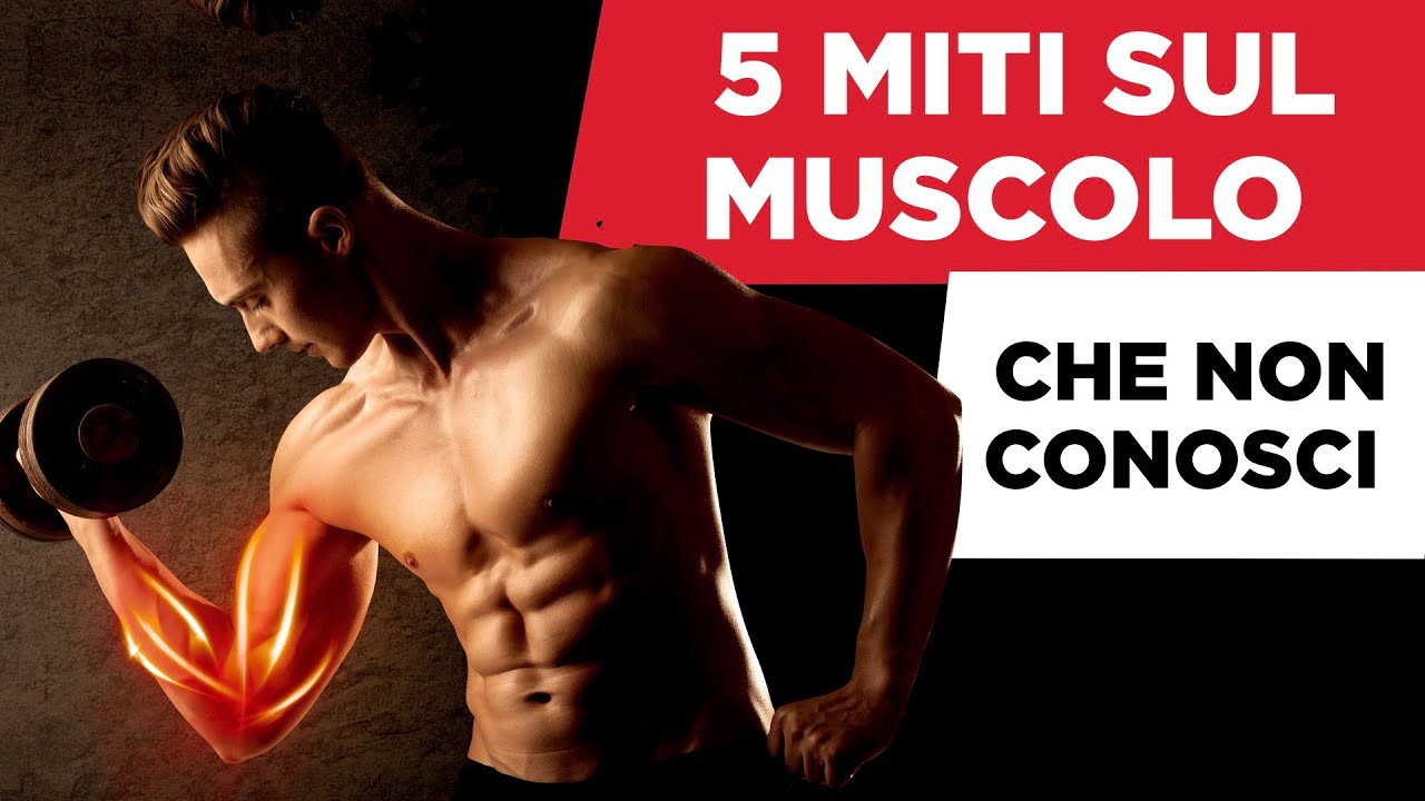 5 miti sul MUSCOLO