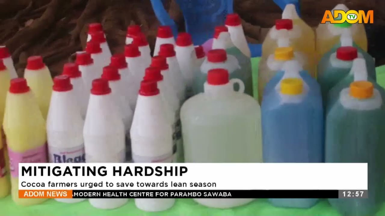 MITIGATING HARDSHIP: Cocoa farmers urged to save towards lean season
