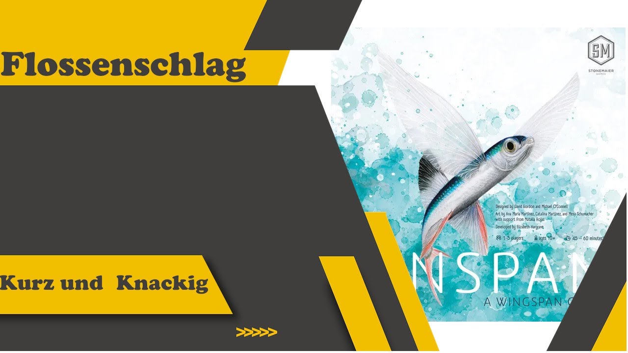 Flossenschlag - Kurz und Knackig