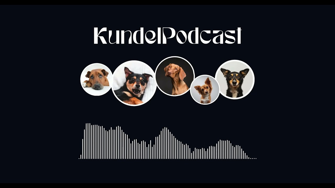 Kryzysowa Sytuacja z Udziałem Zwierzaka - Jak Postępować? #pies #kot #podcast