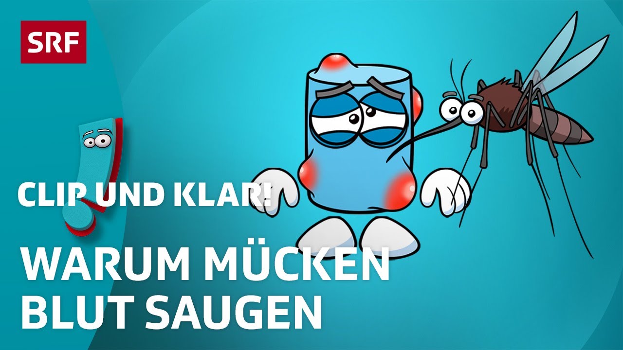 Mücken: Spannende Fakten zu den stechenden Insekten | SRF Kids – Clip und klar! | Für Kinder erklärt