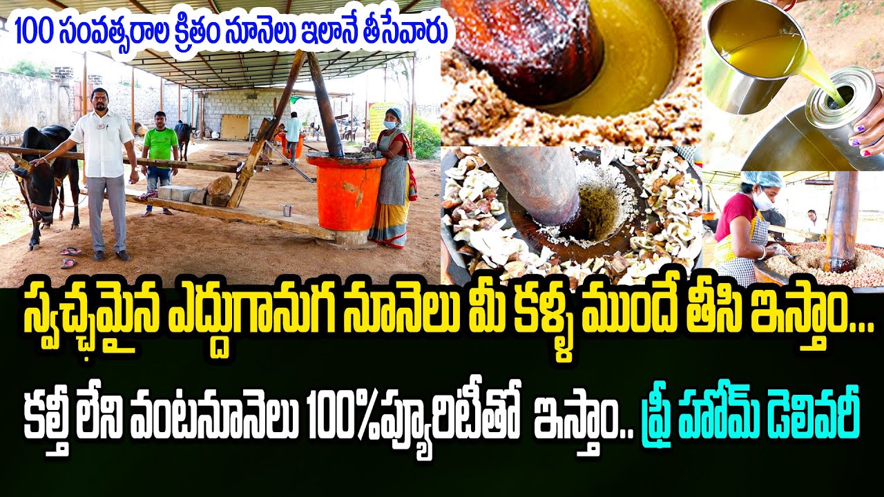 మన పూర్వీకులు ఎద్దుగానుగ నూనెలు ఇలానే తీసేవారు | Bull Driven Oil | Ganuga Oil | Kiran TV Rythu |