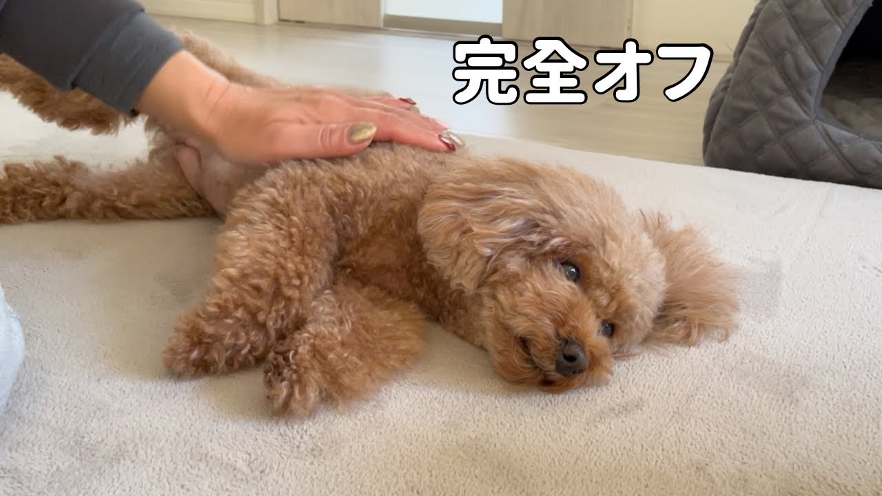 ガスファン前で、完全にオフになるるる