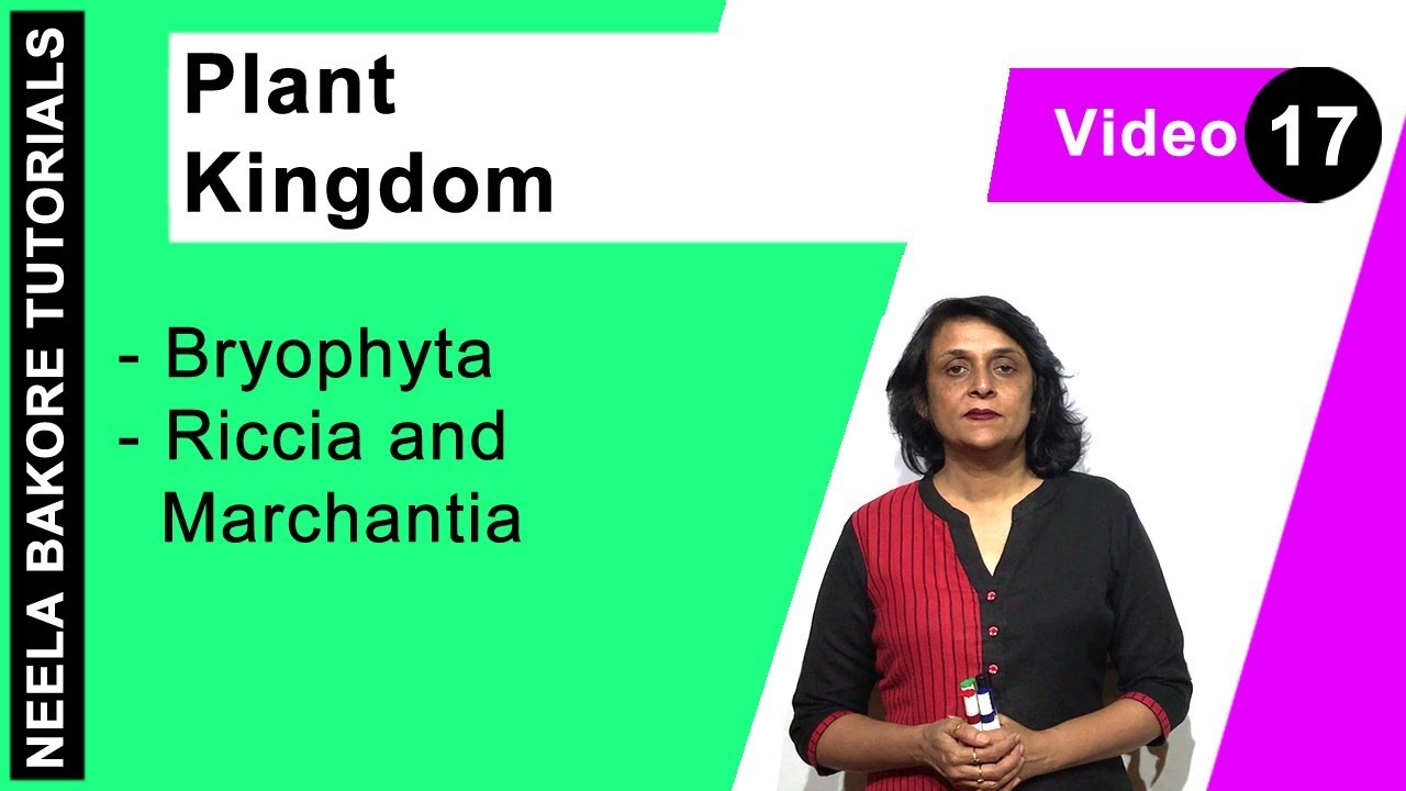 Plant Kingdom | NEET | Bryophyta - Riccia and Marchantia | Neela Bakore Tutorials