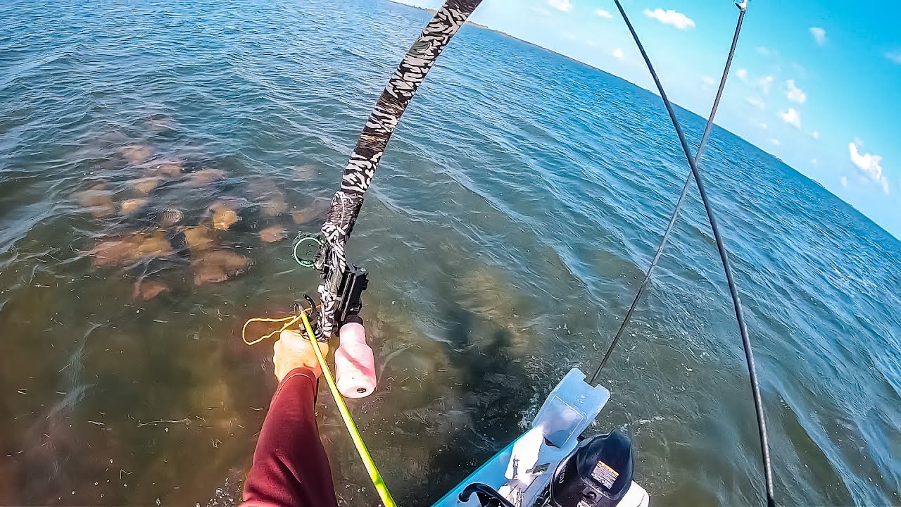 FOUND MASSIVE SCHOOL STINGRAYS... recurve bowfishing