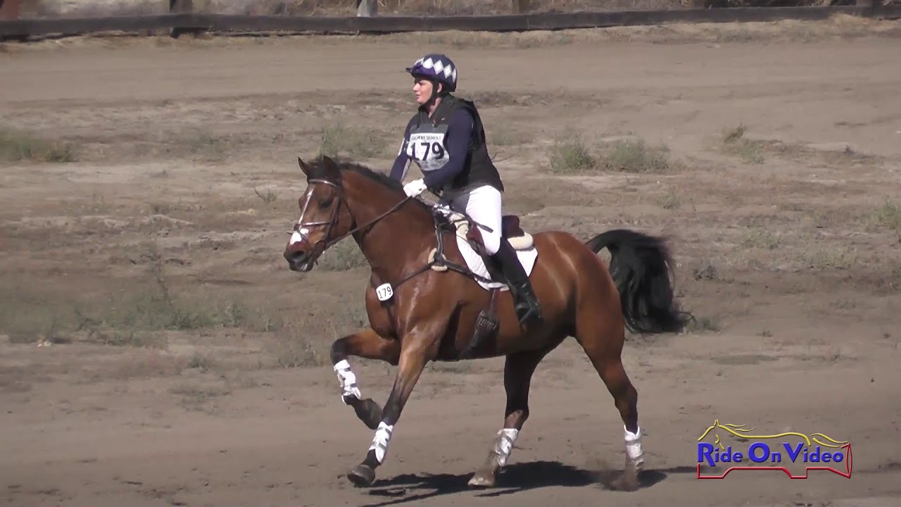 179XC Whitney Tompkins on DVF Caliente Creek JR/YR Preliminary Cross Country Galway Downs Nov. 2015