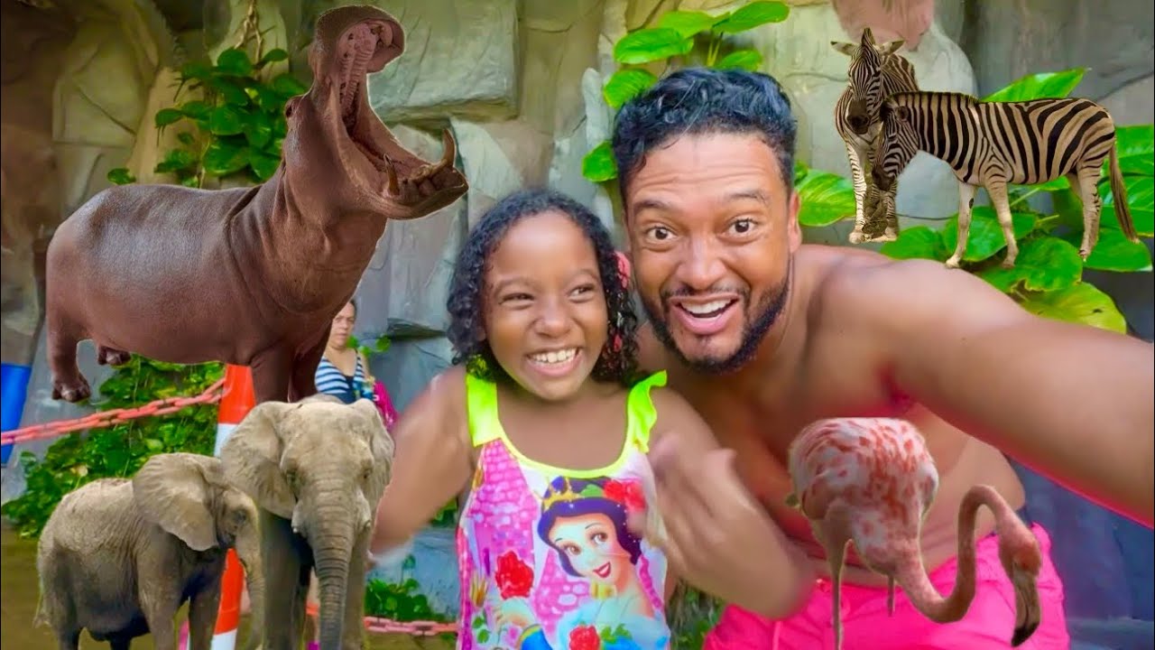 Espectaculares vacaciones en la Hacienda Nápoles  🏊‍♀️🐅🐘🐍🥰