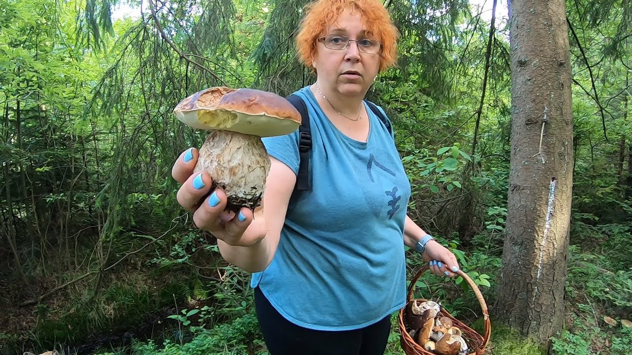 ГРИБЫ АТАКОВАЛИ ГРИБНИКОВ!..Вот это УДАЧА!