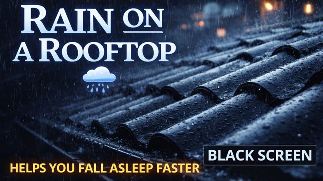 Sleep Experts Say Rain on a Rooftop Helps You Fall Asleep Faster 🌧️ Black Screen