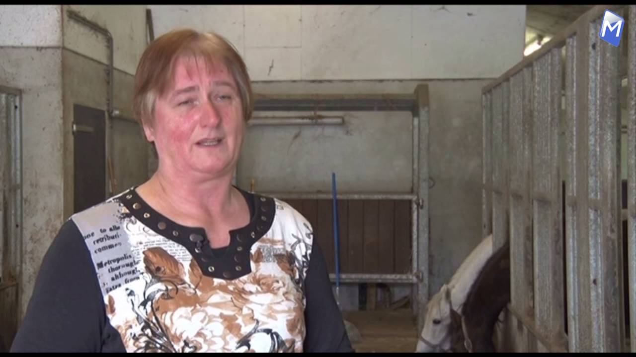 Paardenmelkerij Moerbeek Zwaagdijk heeft het er maar druk mee