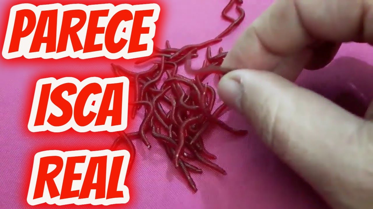 Minhoca isca artificial. Dica para fazer uma pescaria pr&aacute;tica pegar muitos peixes Traira Dourado etc