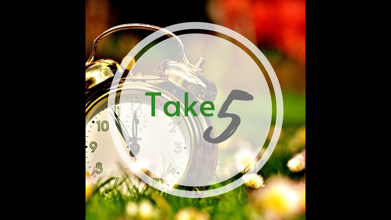 Take Five Lori Kleinman  Owner HR Topics