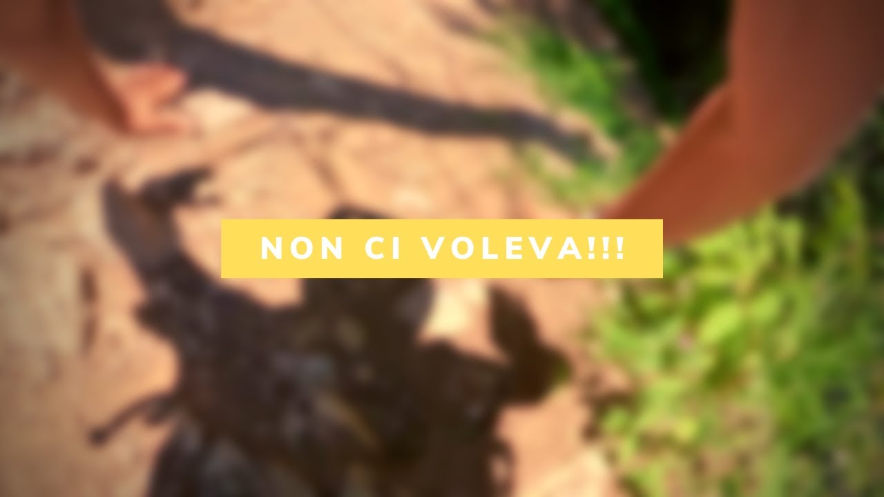 Non DOVEVA FINIRE COSÌ... Paganella Bike Park