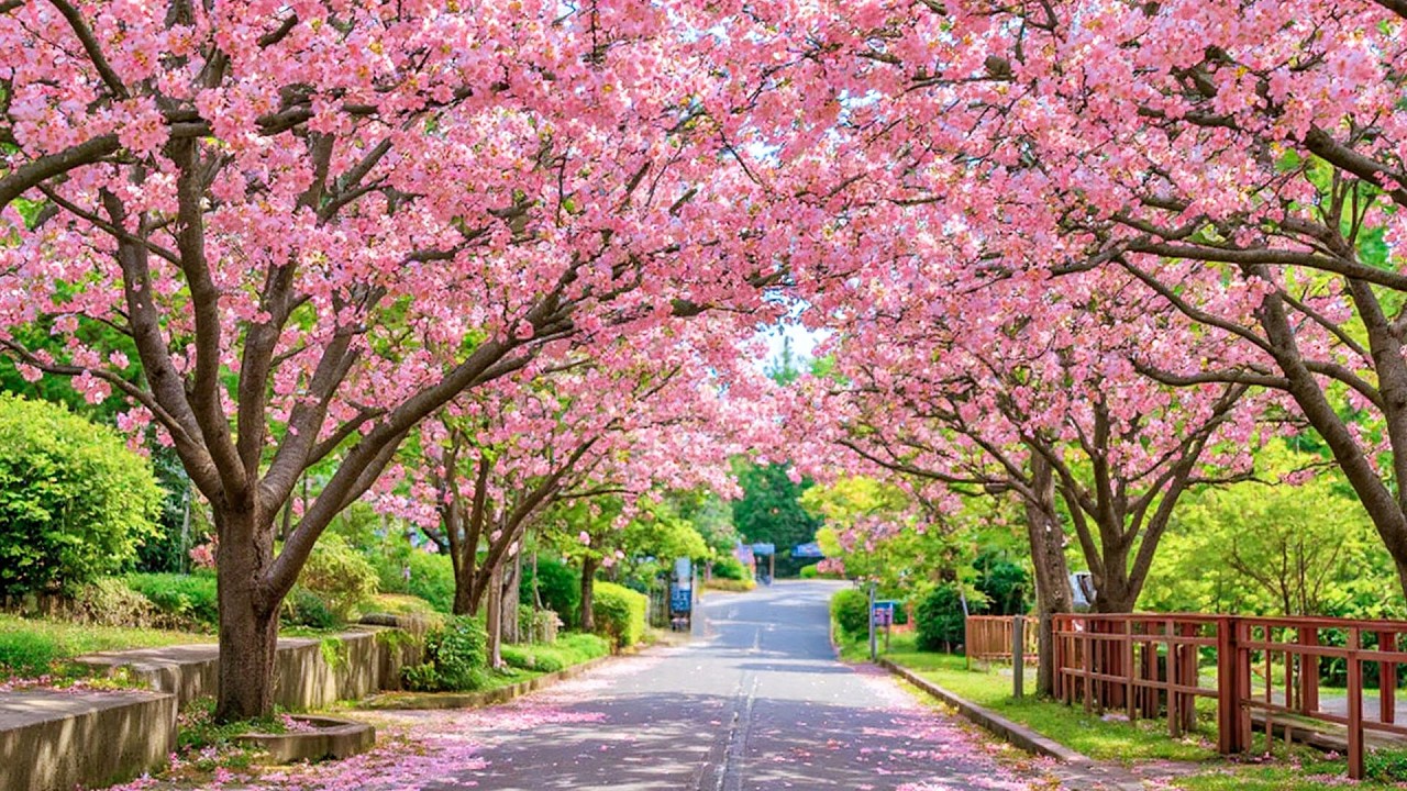 Spring Healing Music 🌸 Helps Stop Overthinking, Reduce Stress, Support Sleep and Gentle Relaxation