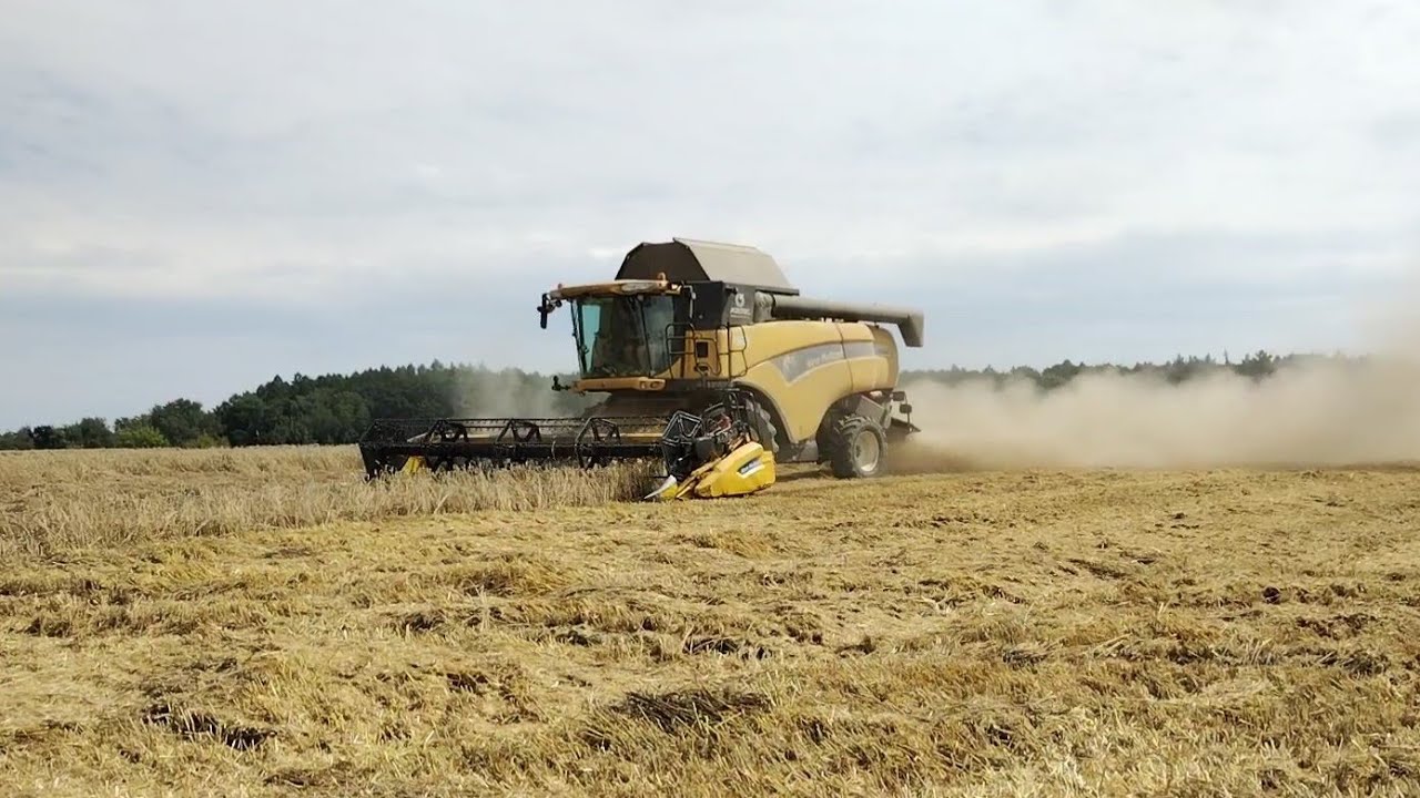 Žně 2023 | Sklizeň P&scaron;enice | NEW Case Ih Axial Flow 9250 & New Holland CX 8080
