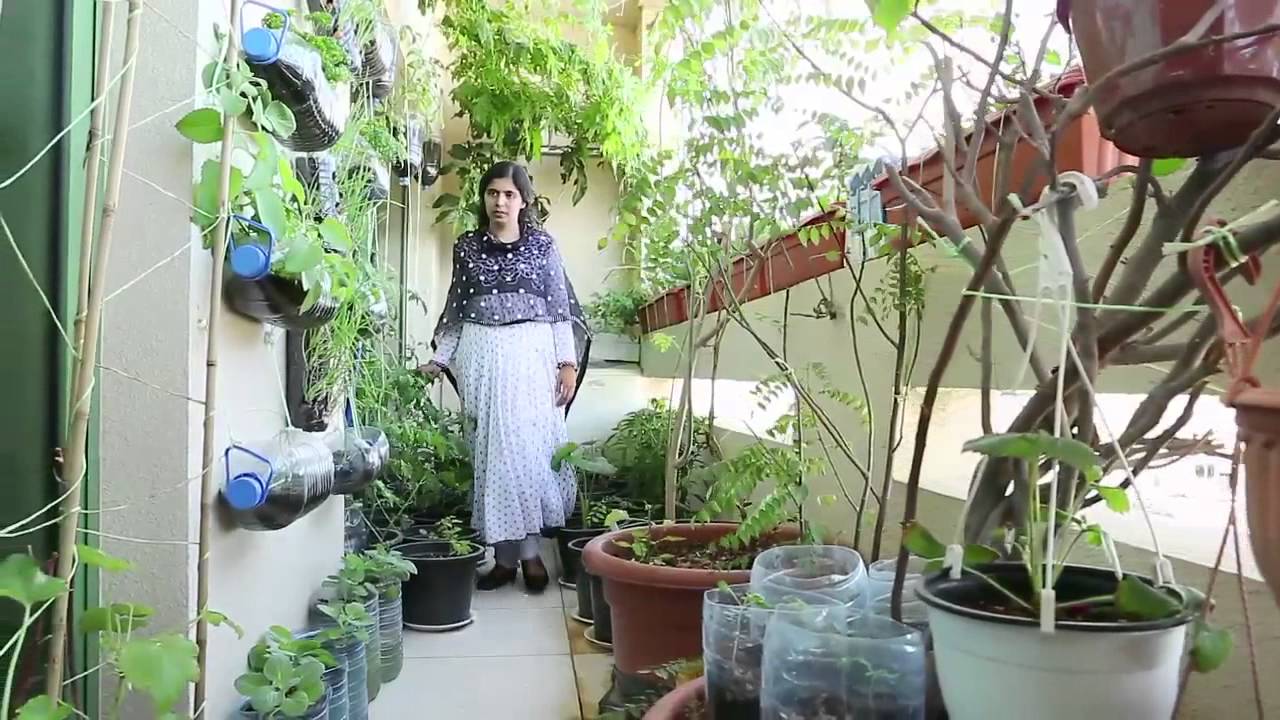Dubai Municipality -Grow Your Food -  Eastern