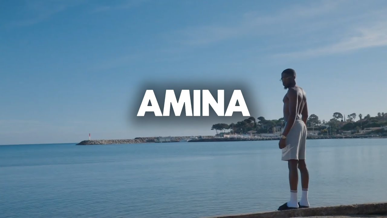 Afro Guitar x Mhd x Wizkid Type Beat 2026 – “Amina” | French Afrobeat