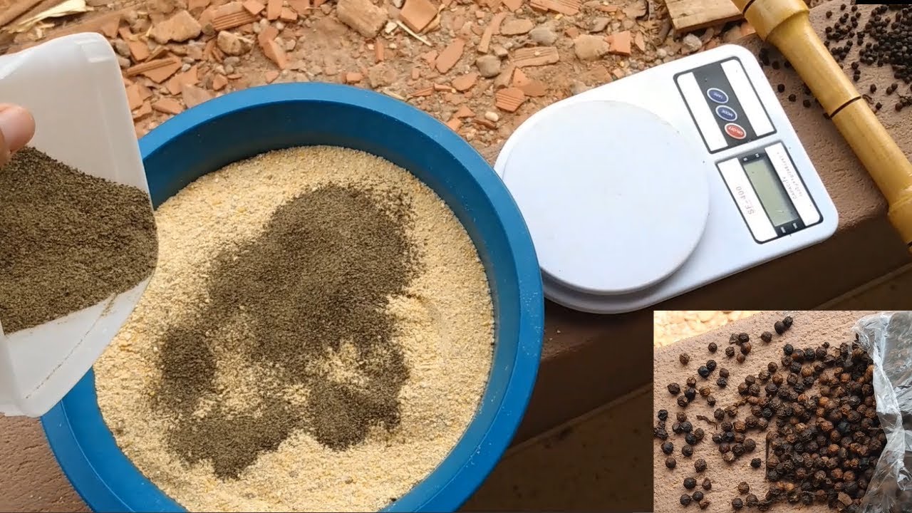 PIMENTA do REINO para GALINHAS: Uso e Benefícios