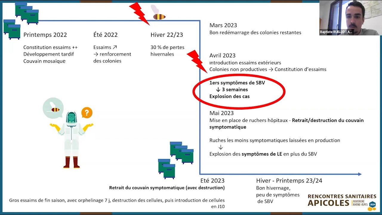 Santé des colonies : restons vigilants toute l'année RSA_2024