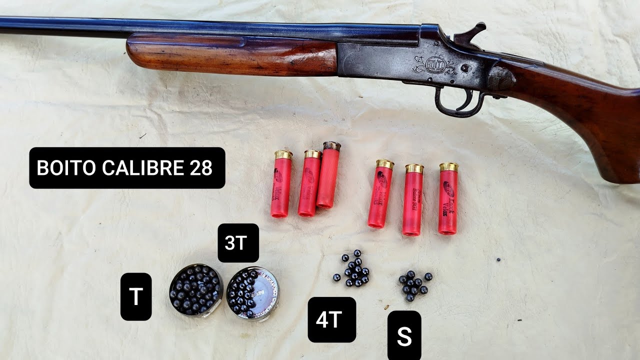 Teste Da Espingarda Boito Calibre 28 ! Chumbo Para Caça Maior, T , 3T, 4T, Chumbo S 
