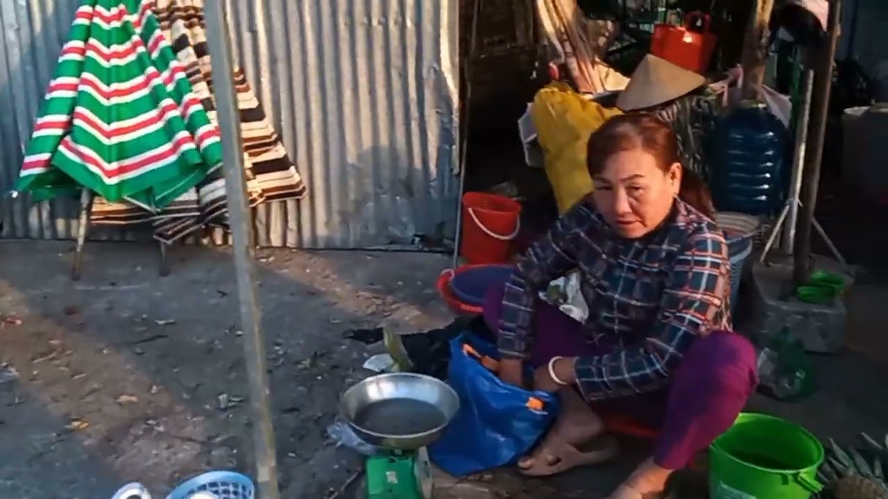 An tức ô Lâm