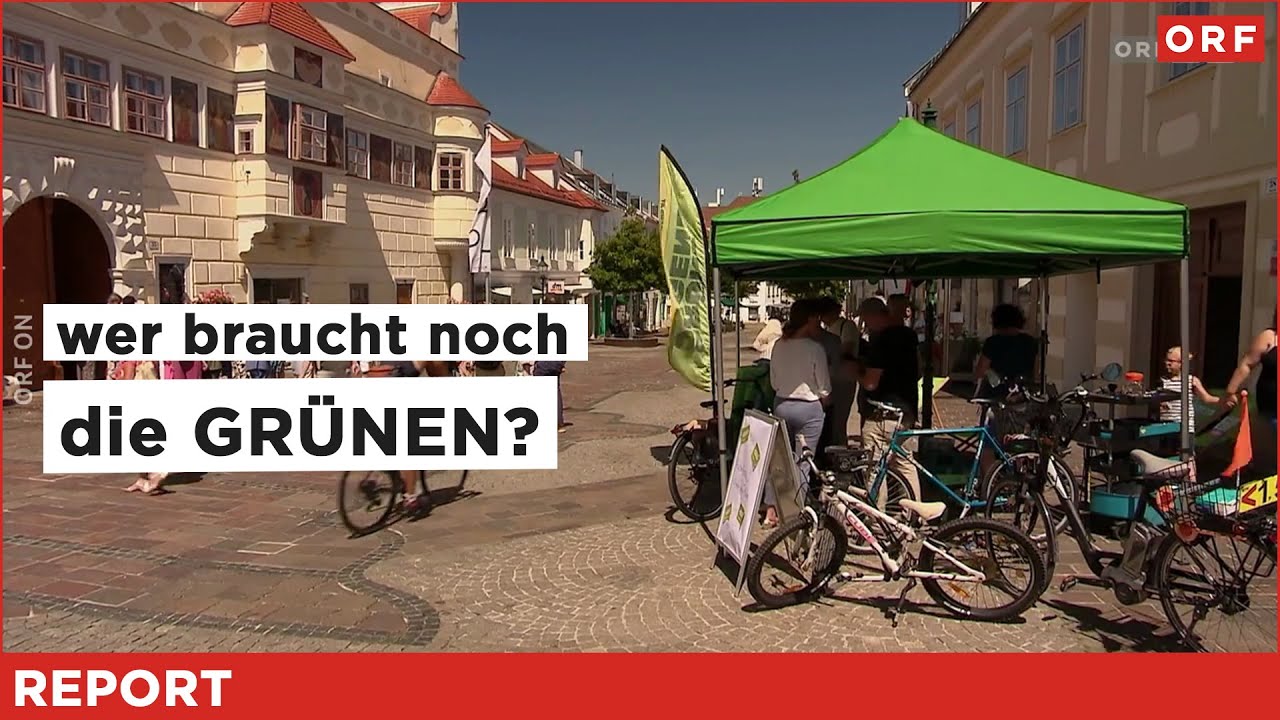 Wer braucht noch die Grünen? | Report 24.06.2025