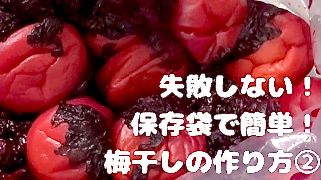 【梅仕事】②簡単・失敗しない！保存袋で作る本格梅干しの作り方｜初心者でもできる！