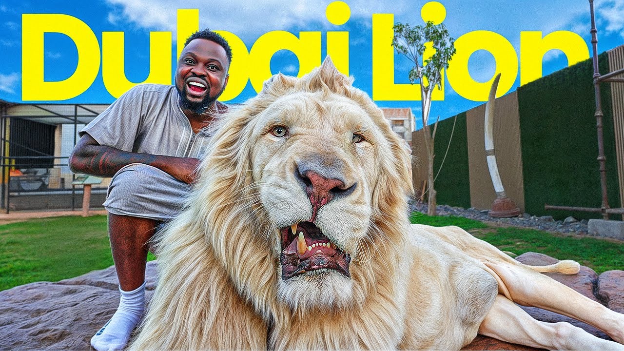 GETTING WILD IN DUBAI WITH SOME OF NATURE'S FIERCEST CREATURES!