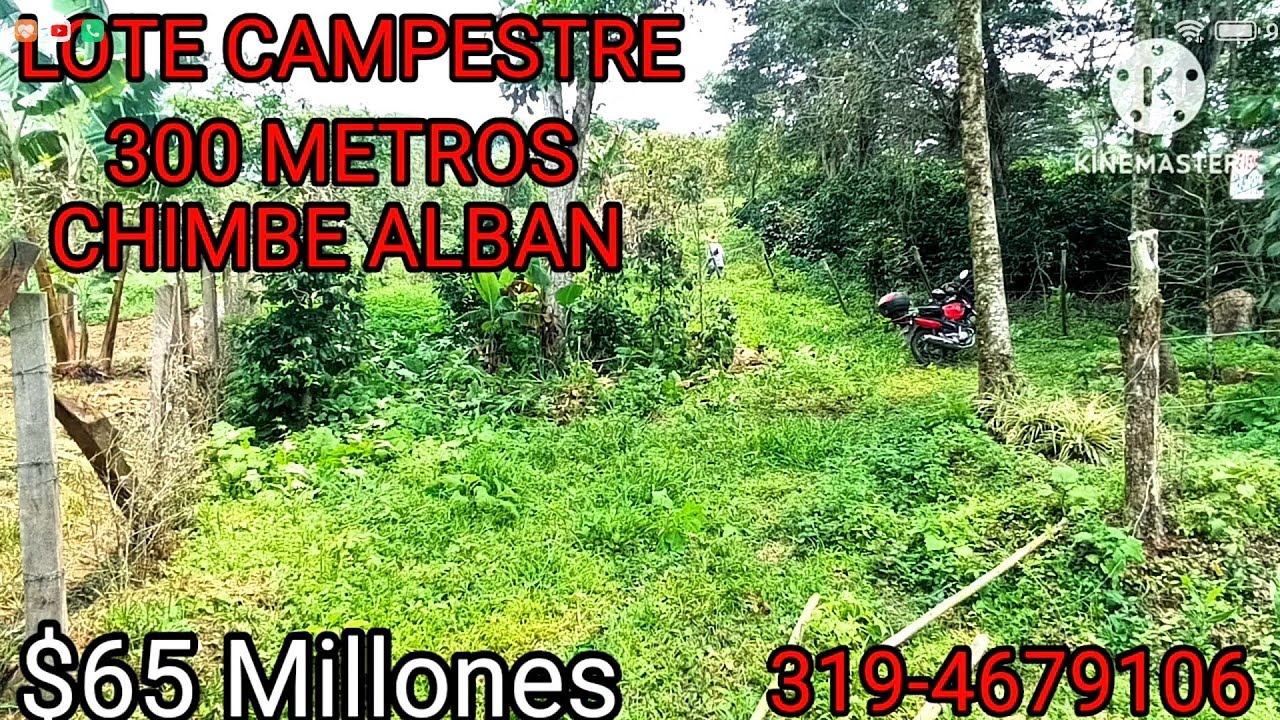 SUBIO PRECIO $88  MILLONES.. (LOTE CAMPESTRE VEREDA CHIMBE) 3194679106