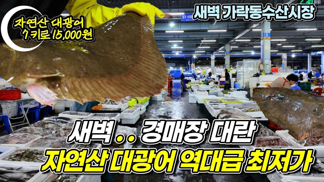 새벽 가락수산시장 갔더니 기가막히네요! 생선값 역대급 폭락? 세상에 이런일이 ~ 10년전 가격?? 요사이 수산시장이 이렇습니다 [줍줍 타이밍 공개]
