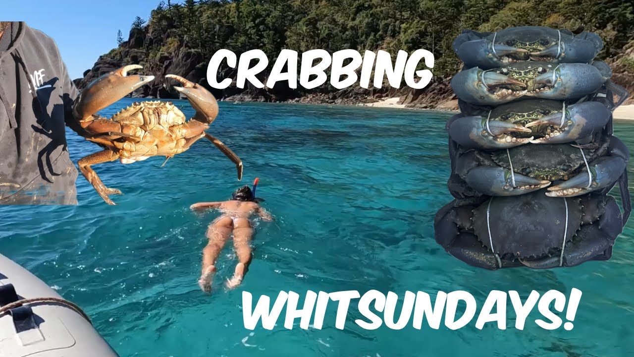 MUD CRABING IN THE WHITSUNDAYS - Airlie beach -