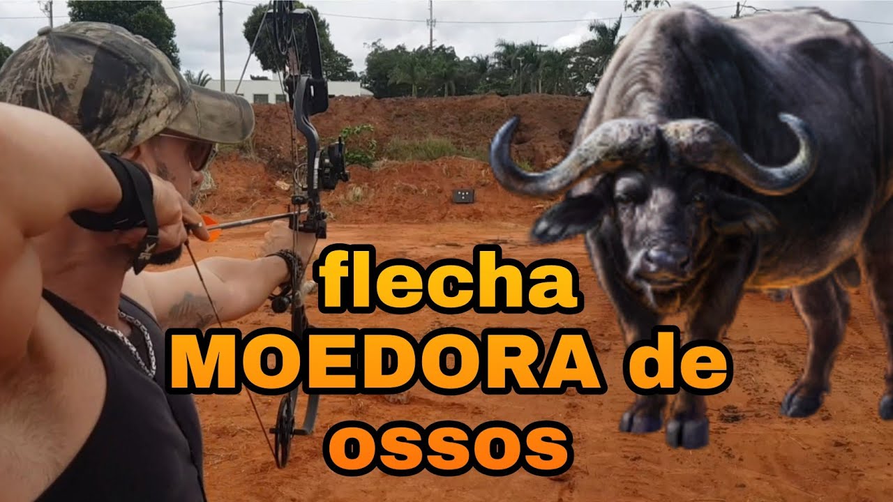 Flechas especiais para caçar búfalos e javalis