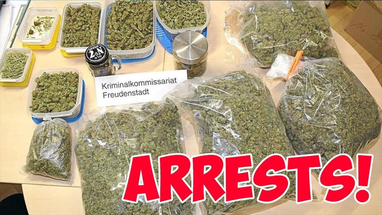 AVI LSD ARCHIVES - DARKENT MARKET ARRESTS!!!