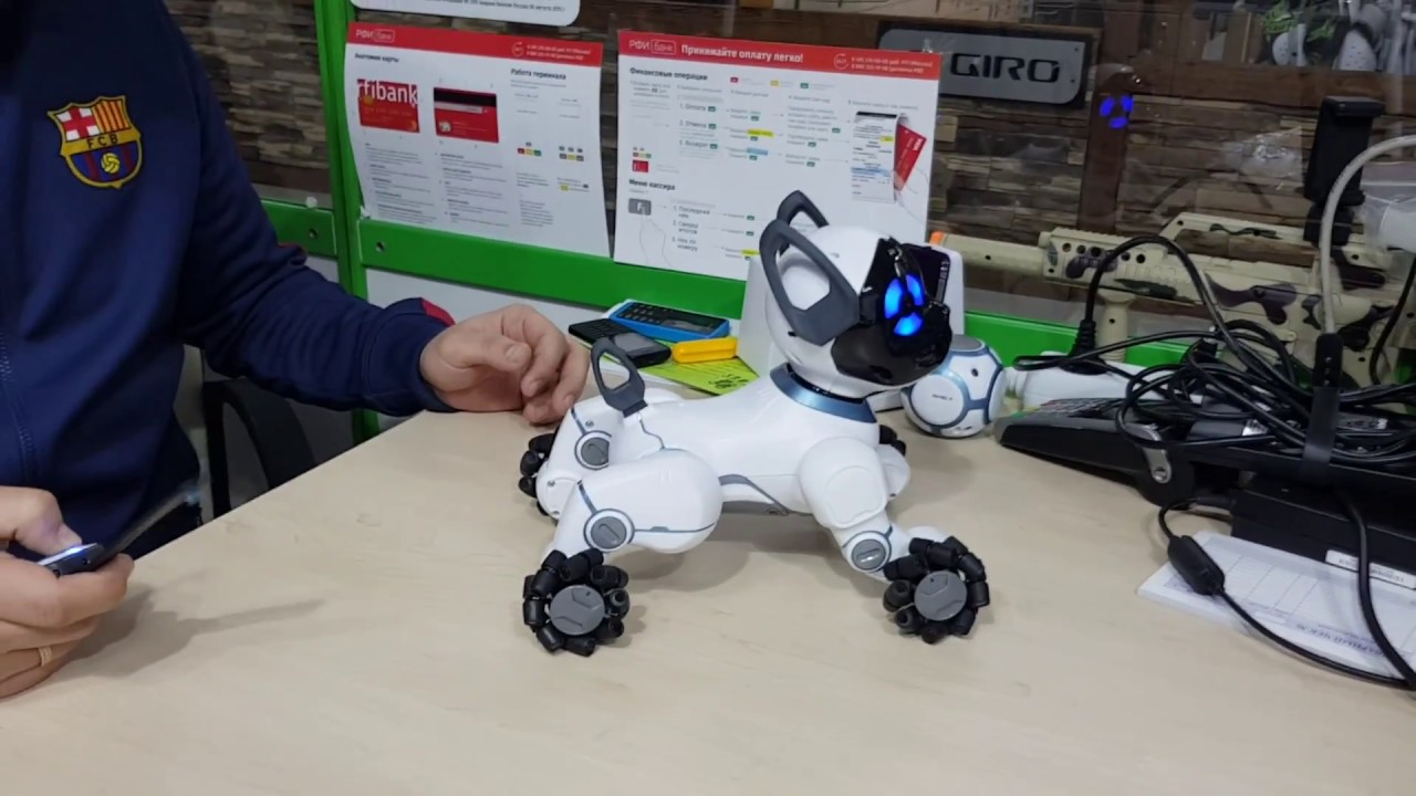 Обзор робот собака WOWWEE Chip