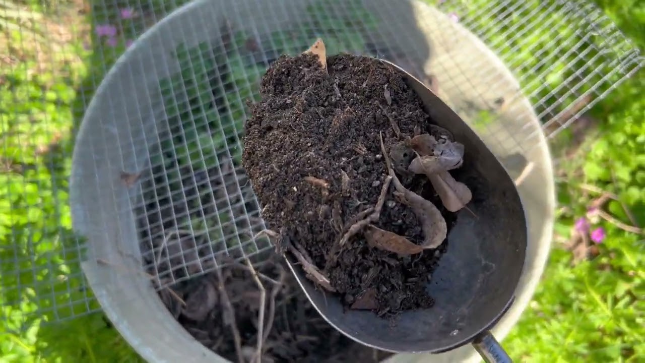 Soil building—4 ways to build soil matter for free
