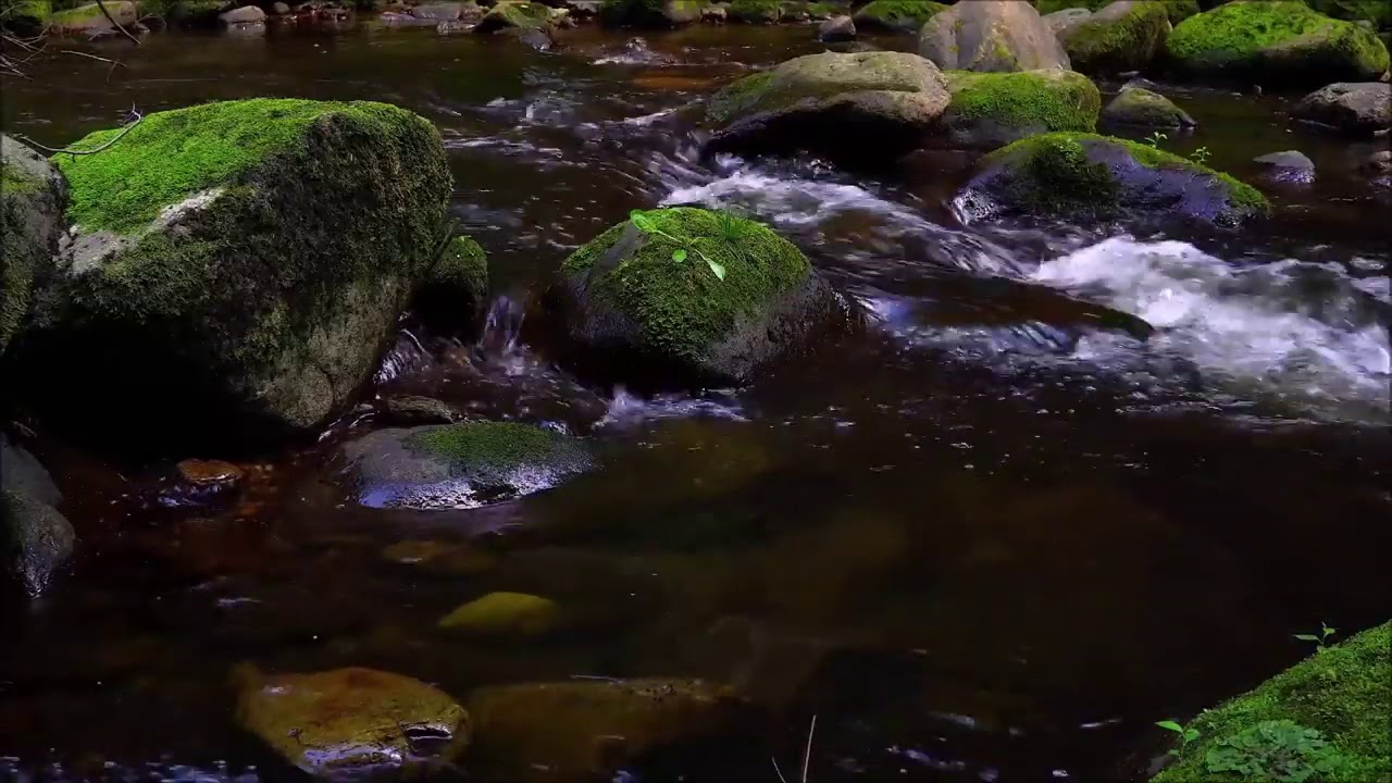 Sonido relajante de arroyo de monta&ntilde;a * Ruido blanco para dormir * estudiar * meditar