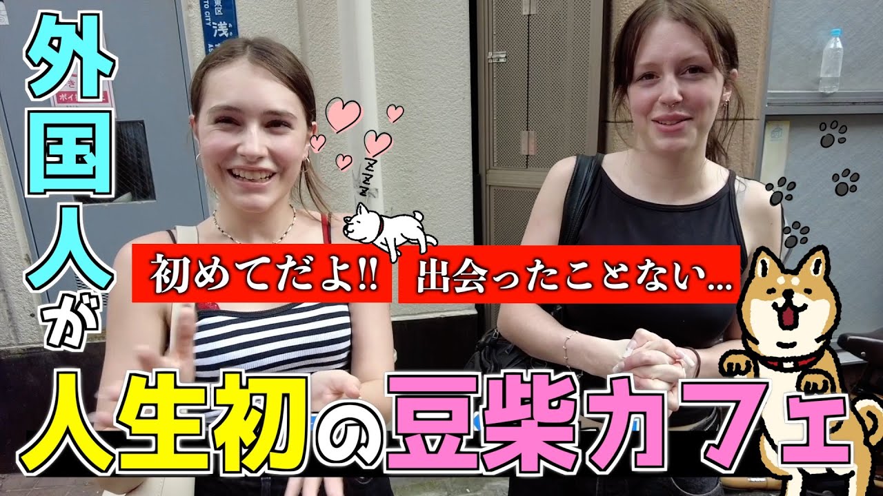 初来日で感動の涙！人生初の豆柴カフェに行ってみたら感動が止まらない！！【日本は夢の国...】
