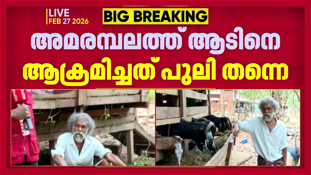 നിലമ്പൂര്‍ അമരമ്പലത്ത് ആടിനെ ആക്രമിച്ച് കൊന്നത് പുലി തന്നെ; പ്രദേശത്ത് കൂട് സ്ഥാപിച്ച് വനംവകുപ്പ്