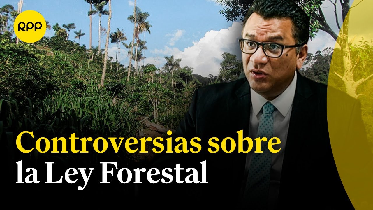 Exministro de Agricultura analiza la controversia sobre la Ley Forestal