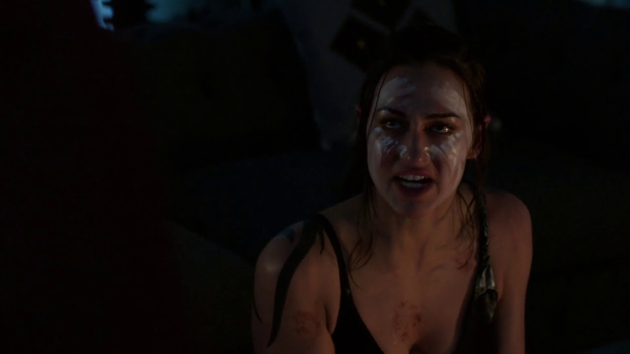 echo & bellamy | becho s1-5 logoless
