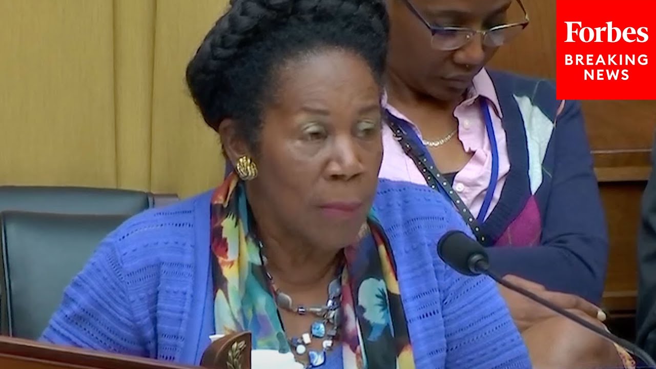 'How Did We Mess Up So Badly?': Sheila Jackson Lee Discusses FISA Abuses