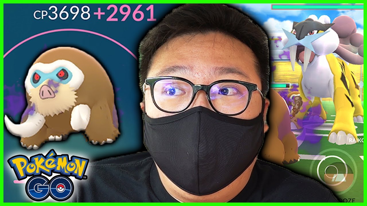LEVEL 50 SHADOW MAMOSWINE VS RAIKOU DUO IN POKEMON GO