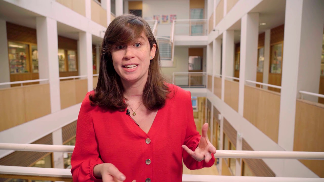 &lsquo;Becoming Human: The Science of Us&rsquo; Trinity Elective