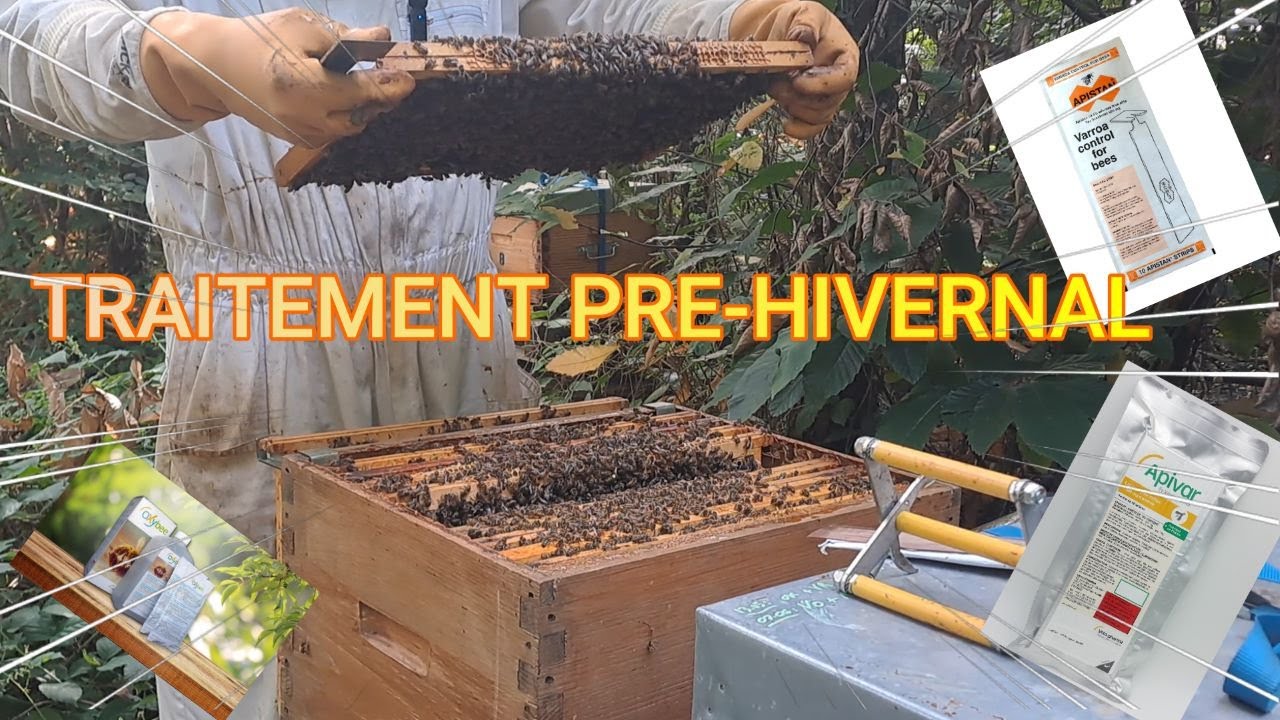 Parlons Traitement Varroa. Quand, comment, quoi utiliser?