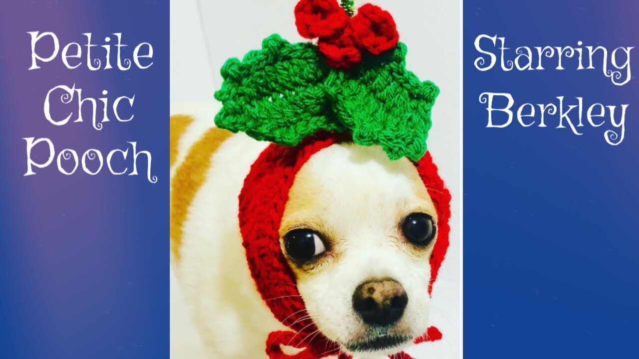 🐶Time Lapse Mistletoe Dog Hat Crochet