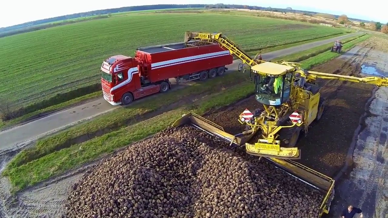 Self-propelled cleaning and overload trailer for sugar beet   | Hack Harvest