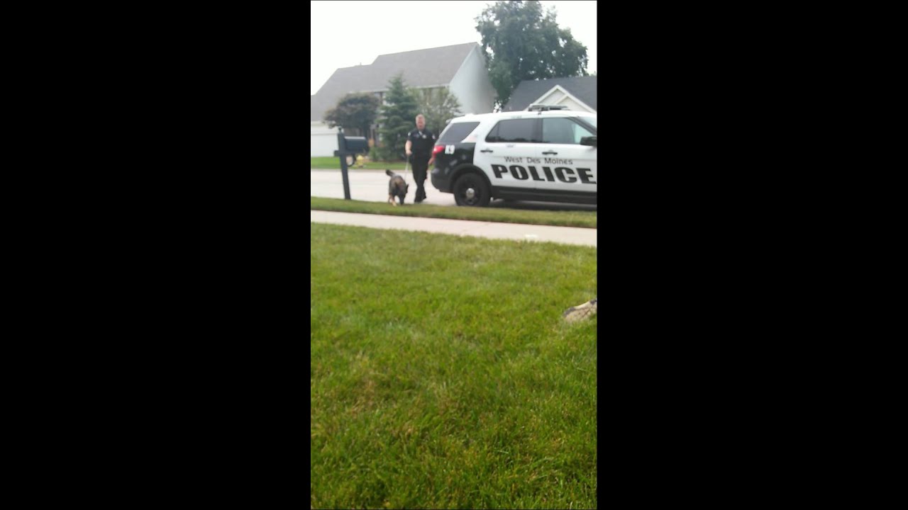 WEST DES MOINES POLICE DEPARTMENT and K9 ARO stop to play with KIDS